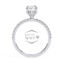 Affordable Luxury Stunning Moissanite Ring Collection (4)