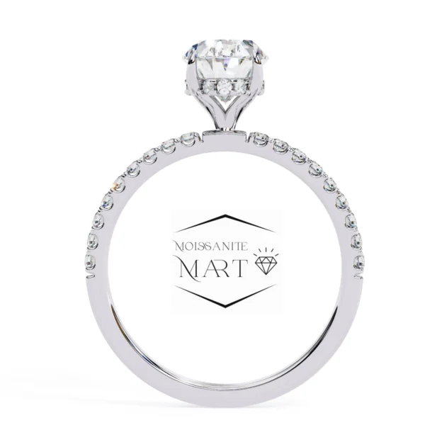 Affordable Luxury Stunning Moissanite Ring Collection (4)