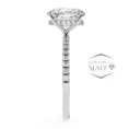 Affordable Luxury Stunning Moissanite Ring Collection (5)