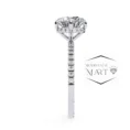 Forever Shine Handcrafted Moissanite Rings (5)