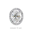 Moissanite Diamond GRA Certified Earrings Tops Studs for Women (1)