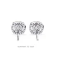 Moissanite Diamond GRA Certified Earrings Tops Studs for Women (7)