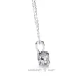 Moissanite Diamond Pendant Necklace for women in 925 silver (19)