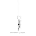 Moissanite Diamond Pendant Necklace for women in 925 silver (3)