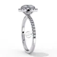 Round Moissanite Diamond Ring for women (3)