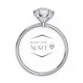 Round Moissanite Stone Ring simple and elegant stone (3)