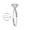 Round Moissanite Stone Ring simple and elegant stone (4)
