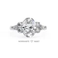 Royal Moissanite Diamond Ring in pure italian silver 925 (5)