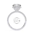cushion moissanite diamond ring for women (4)